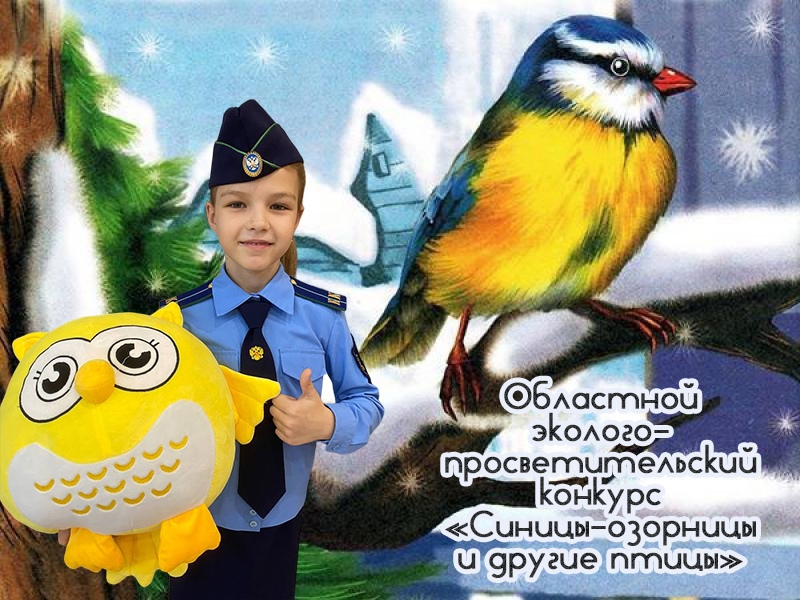 Призер регионального конкурса.